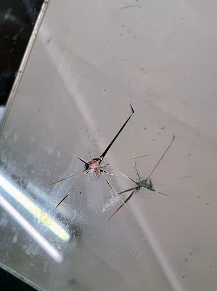 auto glass experts stone chip repair by Dixie Auto Glass